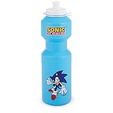 Xammax International Sonic The Hedgehog Water Bottles