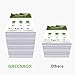 GREENBOX Re-Manufactured Ink Cartridge Replacement for Canon PG-240XL 240 XL CL-241XL 241 XL Used in Canon PIXMA MG3620 MX472 MX452 MG3220 MG3520 MG2220 MX392 MX432 MX512 MG2120 (1 Black 1 Tri-Color)