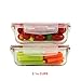 24 Piece Set of Glass Food Storage Meal Prep Containers & Airtight Locking Lids with Microwave Steam Release Valve- Small Medium & Large Dishwasher Safe BPA/Free & Durable- Safely Goes Freezer to Oven