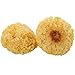 Helen Ou@ Gutian Super Grade Chouer Tremella Fungus White Fungus or Waxy Ear
