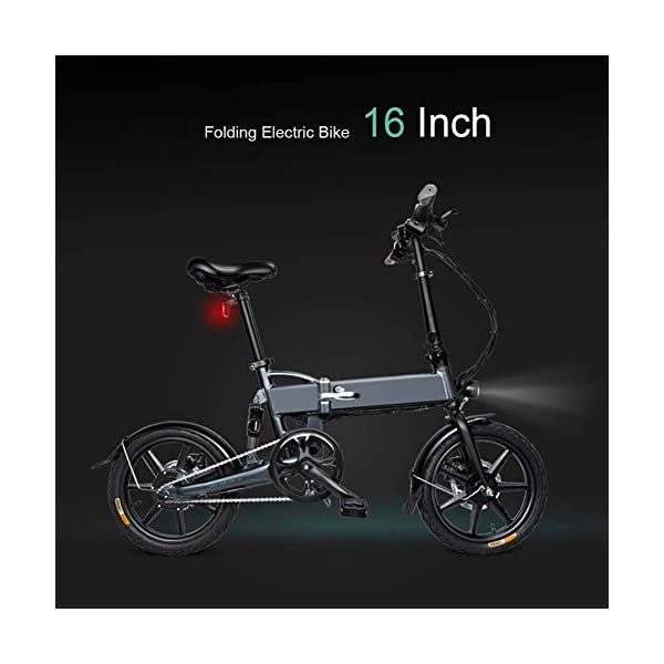 €4,027.86 Bici elettrica pieghevole per bici elettrica con motore mozzo da  250 W, altezza LED, ruote da 16 pollici, batteria agli… - bikewebshop.it