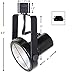 Direct-Lighting 50005 Black PAR30 Short Neck Gimbal Ring Line Voltage Track Lighting Head