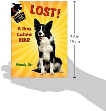 lost a dog called bear