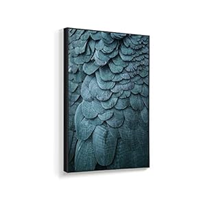 Framed Canvas Wall Art for Living Room, Bedroom Beautiful Features Canvas Prints for Home Decoration Ready to Hanging - 16x24 inches