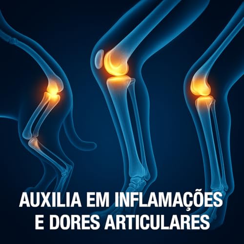 Zeel Uso Veterinário Heel-vet Redução da Dor Articular e Muscular Melhora da Mobilidade Condroregenerador Casa Buritis (50 Comprimidos)