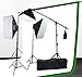 Fancierstudio Lighting kit UL9004SB-69BWG 2000 Watt Photo Studio Lighting Kit with 6-9 Feet Muslin Backdrop and Background Stand-Black White