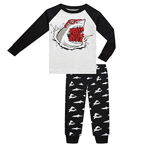 Little Boys Pajamas Set for Toddler Cotton Clothes 4-Pieces Dinosaur Shark 2T Sleepwear Kids Casual Long Sleeve Pjs Set (GlassSharkDinosaur,2T)