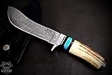 BLACK MAMBA KNIVES BMK-156 Cenchoa Snake Knife 12