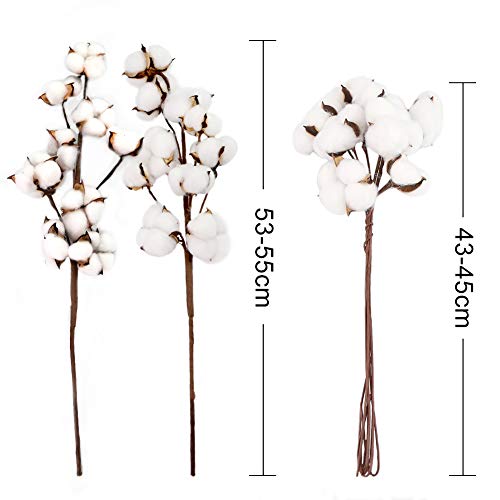 HAKACC Baumwolle Deko, 10 Stück Natürlich Getrocknete Baumwolle Trockenblumen Deko DIY Dekoration Home Party