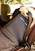 Chilly Seat Car Seat Cooler