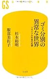 ゴミ分別の異常な世界―リサイクル社会の幻想 (幻冬舎新書)