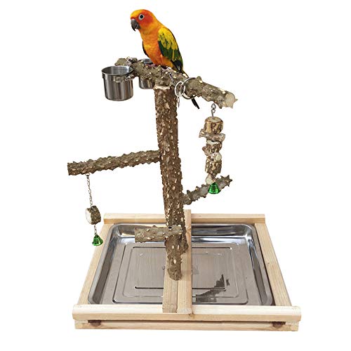 image for TOYPOPOR Parrot Playstand Bird Play Stand Cockatiel Playground Wood Pe