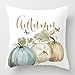 AmyDong Clearance Thanksgiving Square Cover Decor Pillow Case Sofa Waist Throw Cushion Cushion Cover (B)