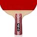 DHS Ping Pong Table Tennis Racket Paddle Bat 4 Star Penhold Short Handle Double Pimples-in Bat 4006 with Landson Support