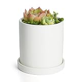 Greenaholics Plant Pots - 4.3 Inch Ceramic Matte Surface Cylinder Ceramic Planters for Succulents, Cactus, Flower Planting, with Drainage Hole and Tray, Matte White