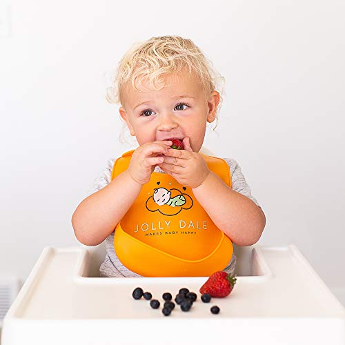 Jolly Dale Baby Teething & Feeding Set with Silicone Baby Bucket Bib