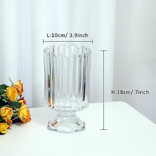 Clear Glass Vase, ViViTOP Embossed Crystal Glass Base Vases, 7\