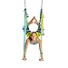 YOGABODY Yoga Trapeze (Official), Blue/Green - Yoga Inversion Swing