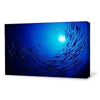 Canvas Wall Art Sea Fish Canvas Prints Home Artwork Decoration for Living Room,Bedroom - 12x18 inches