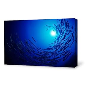 Canvas Wall Art Sea Fish Canvas Prints Home Artwork Decoration for Living Room,Bedroom - 12x18 inches