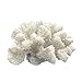 Redeco White Artificial Resin Rice Coral, Home Office Ornament, Aquarium Decoration, Ocean Sea Decor 5