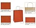 BagDream Gift Bags 8x4.25x10.5 Inches 25Pcs Paper Bags, Shopping Bags, Kraft Bags, Retail Bags, Merchandise Bags, Orange Paper Bags with Handles