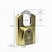 Mindy Lock with Keys Zinc Alloy Keyed Different Padlock,1-Pack, AF12-60