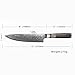Bigsun Chef Gyutou Knife 67 Layers VG 10 Forged High Carbon Damascus Steel Kitchen cooking Knives with Resin Honeycomb Design Handle (8 Inch Chef Knife, Brown)