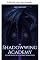 Livro A Academia Shadowwing