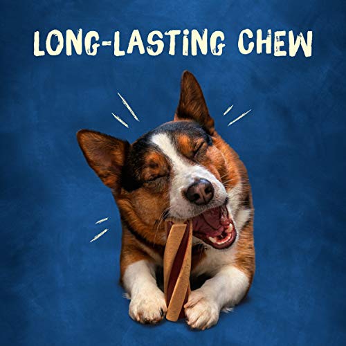 Purina Busy With Beggin' Twist'd Small/Medium Dog Treats - 6 ct. Pouch - Thumbnail 5
