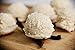 Paleo Angel Power Balls Healthy Paleo Approved Gluten Free AIP Protein Snack Bars (4 Pack) (Vanilla)