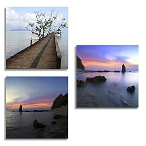 for Living Room Bedroom Home Artwork The Beautiful...