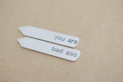 You are bad ass Collar Stays