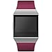 Wepro Bands Compatible with Fitbit Ionic SmartWatch, Watch Replacement Sport Strap for Women Men Kids, Buckle, Large, Fuchsia