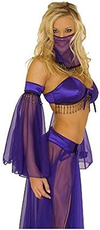 Exotic 5 Pc. Belly Dancer Costume