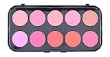 Beauty Treats Professional 10 Matte Blush Palette