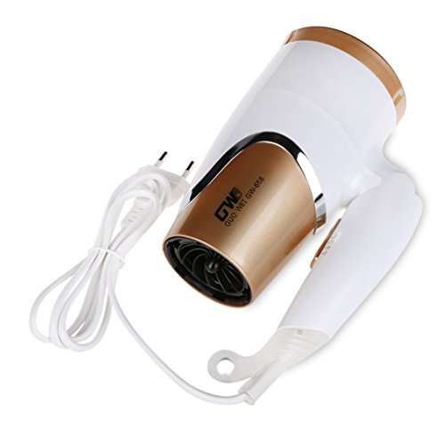 Pretty See Folding Hairdryer Professional Hair Dryer Portable Blow Dryer with Foldable Handle, Suitable for Household and Travel