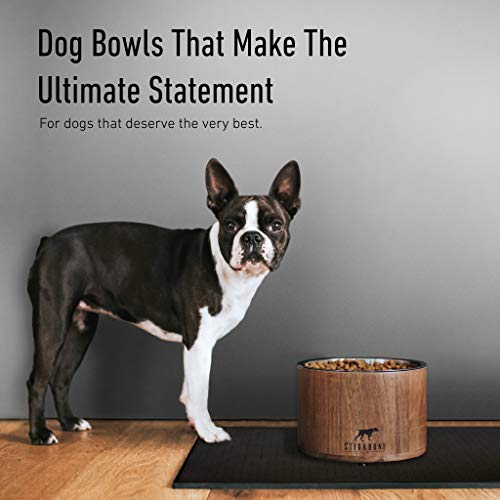 Stig & Bone Dog Bowls for Large Dogs Elevated with Stand Modern