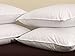 Pacific Coast Hospitality Tria Queen Size 2-Pillow Set With 2 Queen Size Pillowtex Pillow Protectors