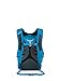 Osprey Adult Ozone Day Pack