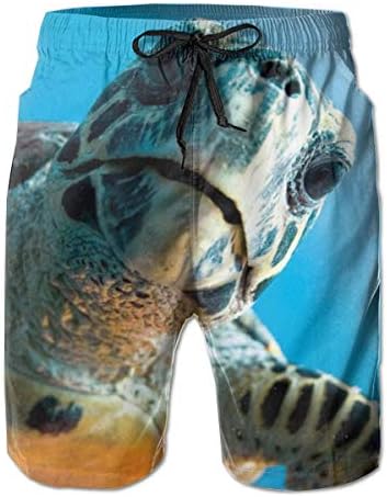 水着 メンズ サーフパンツ 海水パンツ ボードショーツ 海パン 雑誌 海 カメ 大好評です ビーチパンツ スイムショーツ 水陸両用 メッシュインナー おしゃれ人気 アウトドア 通気 街着スイムウェア 短パン ボーダー 速乾 海水浴