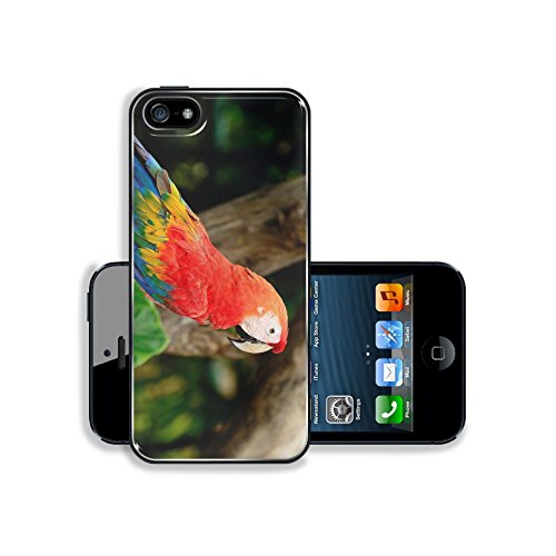Luxlady Premium Samsung Galaxy S5 Aluminium Snap Case Beautiful Scarlet Macaw aviary IMAGE 21199575