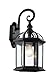 Trans Globe Lighting 4181 BK Outdoor Wentworth 16" Wall Lantern, Black primary