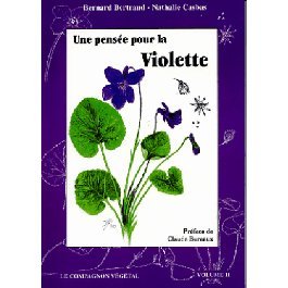 Une  pensée pour la violette