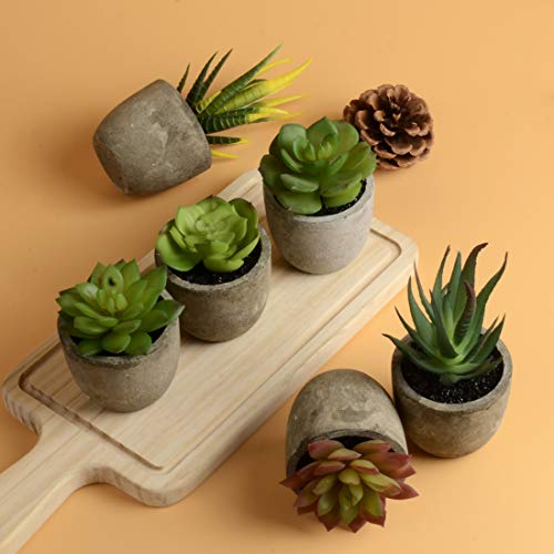 image for HappyHapi 6 Pcs Assorted Potted Artificial Succulent Plants Decorative