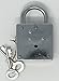 Retroworks Trick Lock - Mystery of The Prickly Key