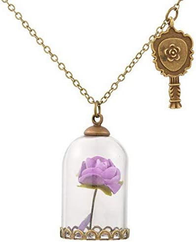 Holove Women's Elegant Dry Flower Glass Wishing Bottle Vial Necklace Pendant Chain for Girls