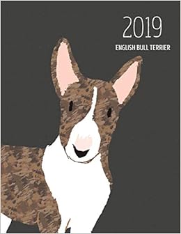 large english bull terrier