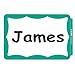 C-Line Pressure Sensitive Peel and Stick Name Badges, Green Border, 3.5 x 2.25 Inches, 100 per Box (92263)
