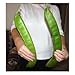 Seeds and Things 3 Jack in the Bean Stalk Magic Beans Seeds Unusual